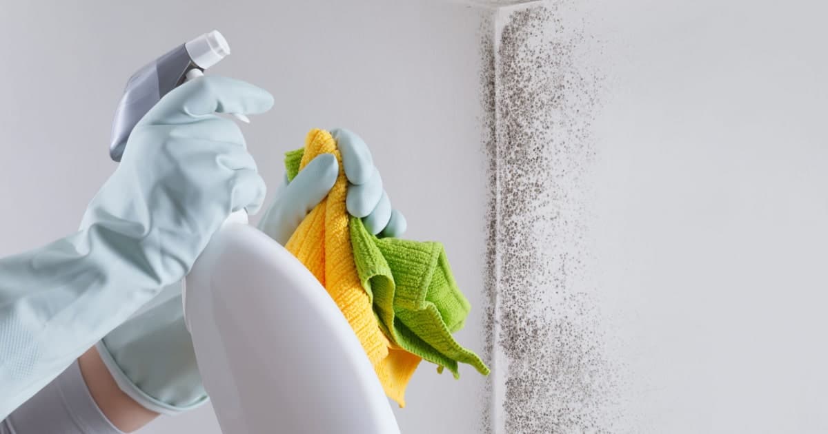 produit pour nettoyer moisissure sur un mur humide