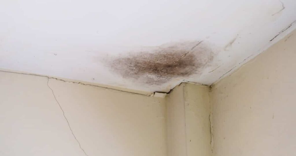 Des taches noires sur un plafond causées par une infiltration de l'humidité