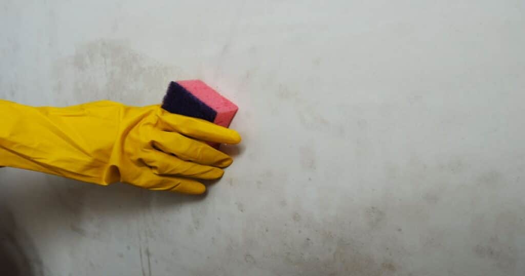 nettoyage des taches d'humidité avec une éponge et des gants