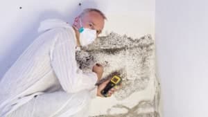 expert en matière d'humidité en train d'inspecter un mur couvert de moisissure noire à l'aide d'un humidimetre